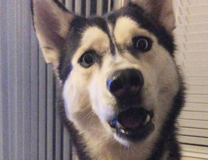 哪个平台可靠的在线DDOS平台攻击