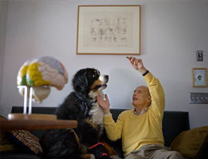 免费ddos在线攻击测试网站