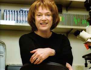 求个靠谱链接的DDOS网页端源码